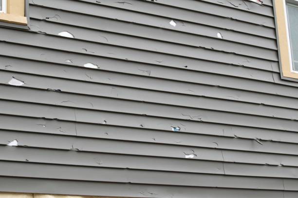 Best Shed Removal  in Semmes, AL